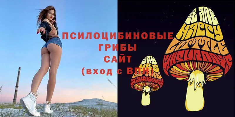 OMG ссылка  Новошахтинск  Галлюциногенные грибы Psilocybe 